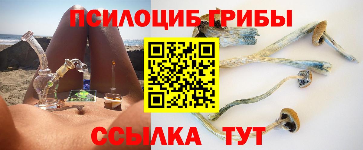как найти наркотики  Псилоцибиновые грибы GOLDEN TEACHER  Вход с VPN  Краснодар  Псилоцибиновые грибы прущие грибы 